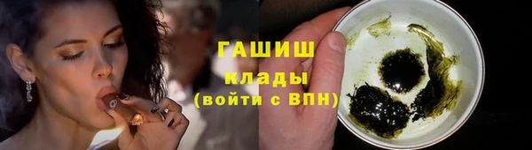 твердый Магас