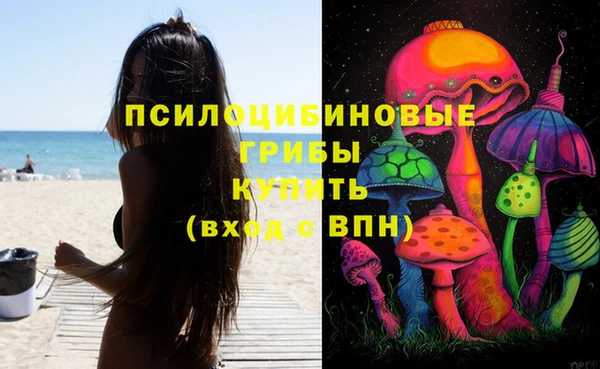 твердый Магас