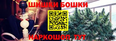 СК Краснознаменск