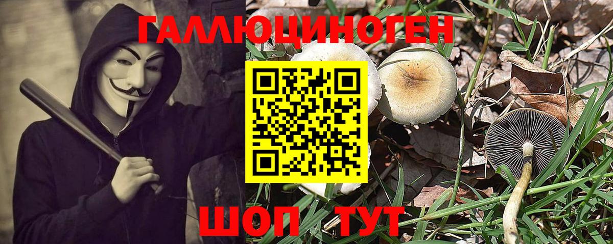 Псилоцибиновые грибы прущие грибы Тавда