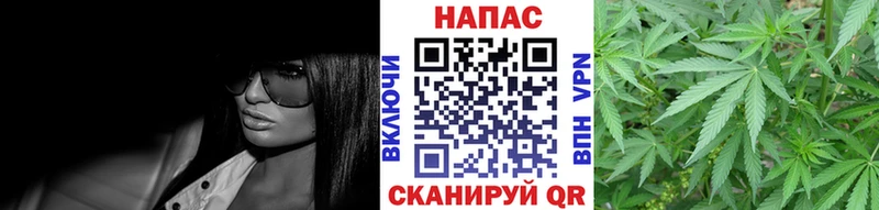 Бошки Шишки планчик  Тавда 